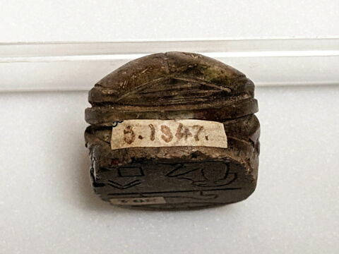 scarabée de cœur, image 6/6