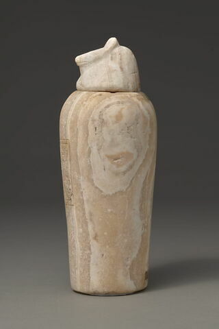 vase canope ; avec contenu, image 6/8