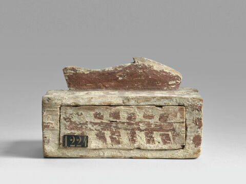 sarcophage de poisson ; momie de poisson, image 5/7