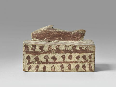 sarcophage de poisson ; momie de poisson, image 6/7