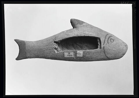 sarcophage de poisson, image 7/7