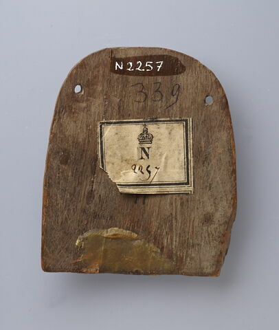 plaquette ; bouclier ; simulacre, image 3/4