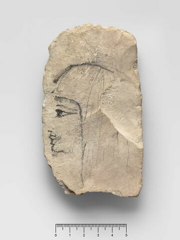 ostracon figuré