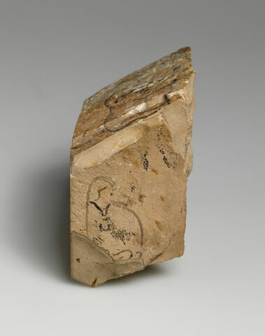 ostracon figuré, image 6/9