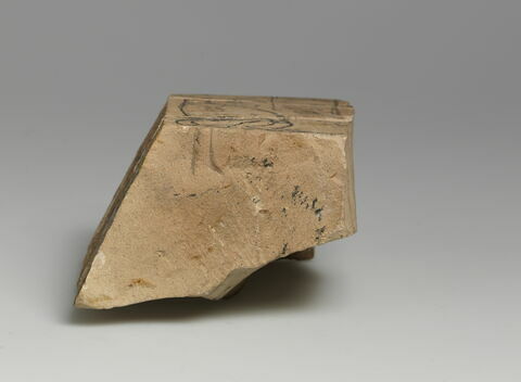 ostracon figuré, image 8/9