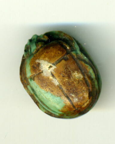 scarabée, image 2/2
