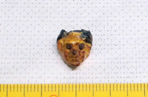 pendentif ; perle, image 2/2