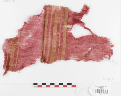 tissu ; fragment