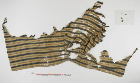 tissu ; fragment