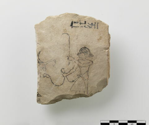 ostracon figuré