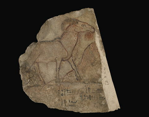 ostracon figuré, image 3/4