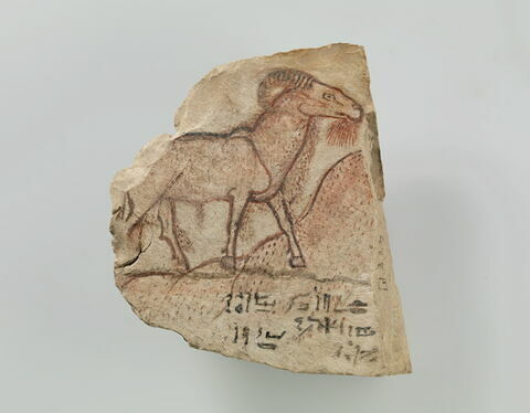 ostracon figuré