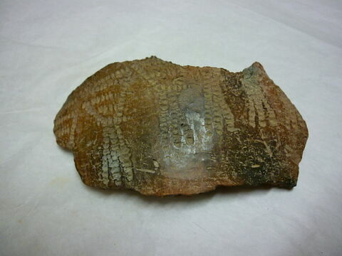 vase  ; racloir, image 2/2