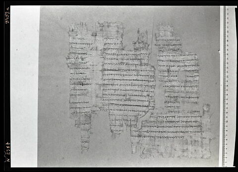 papyrus documentaire