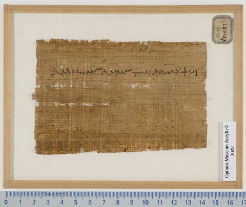 papyrus, image 2/2