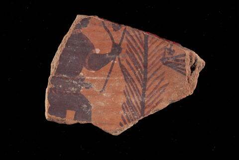 plat ; fragment