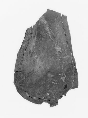 mule ; fragment, image 2/3