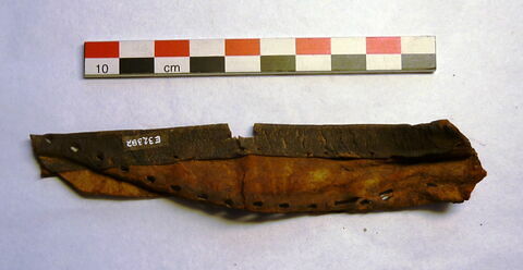 mule ; fragment, image 3/3