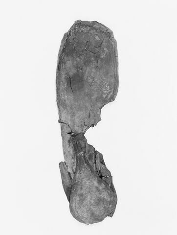 mule ; fragment, image 2/3