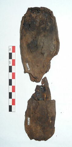 mule ; fragment