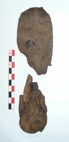 mule ; fragment, image 3/3