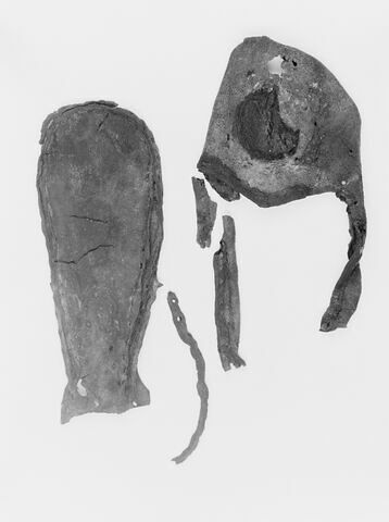 mule ; fragments, image 2/2