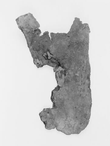 mule ; fragment, image 2/2