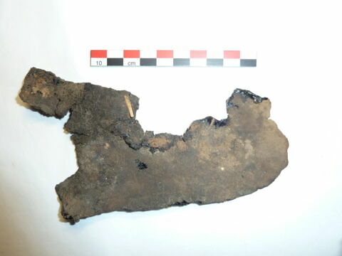 mule ; fragment