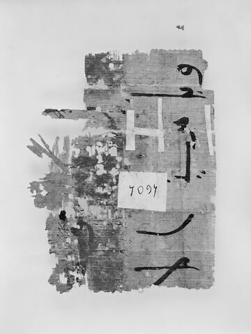 feuillet de codex ; fragment, image 4/4