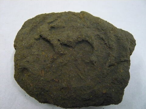 bouchon d'amphore, image 2/3