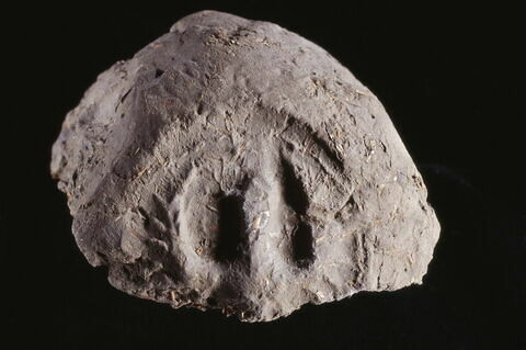 bouchon d'amphore, image 3/3