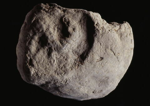 bouchon d'amphore, image 3/3