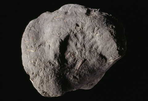 bouchon d'amphore, image 3/3