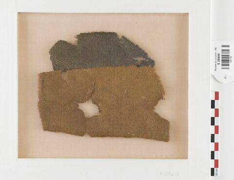 manteau ; fragment