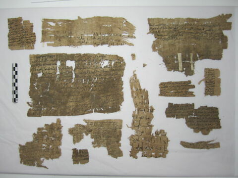 papyrus