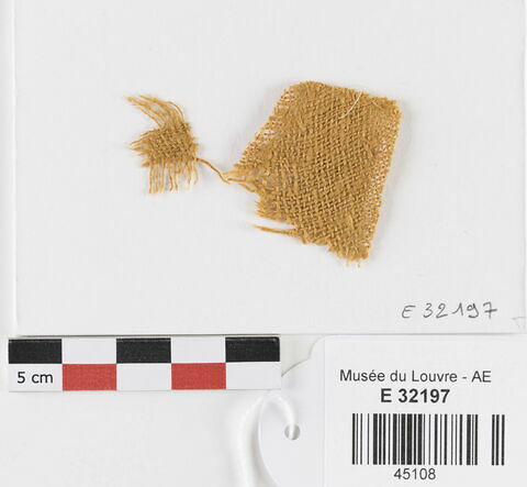 fragment du mantelet de Tahïas