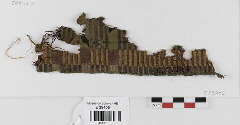 tissu ; fragment