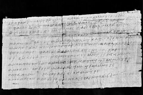 papyrus documentaire, image 4/4