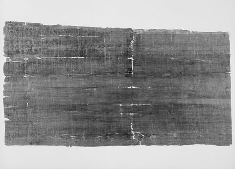 papyrus documentaire, image 3/4