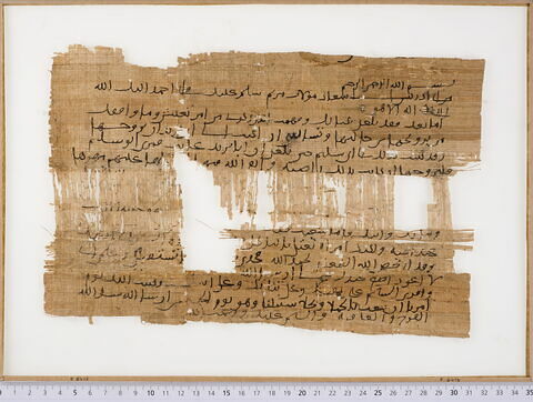 papyrus documentaire ; fragments