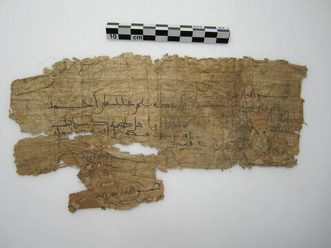 papyrus documentaire