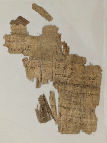 papyrus documentaire