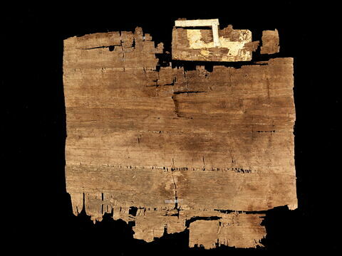 papyrus, image 2/2