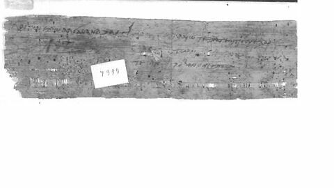 papyrus documentaire, image 3/3