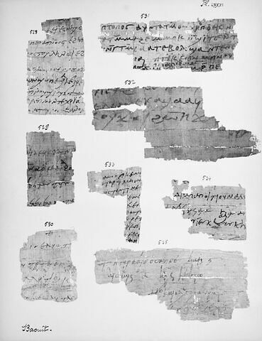 papyrus documentaire ; fragment