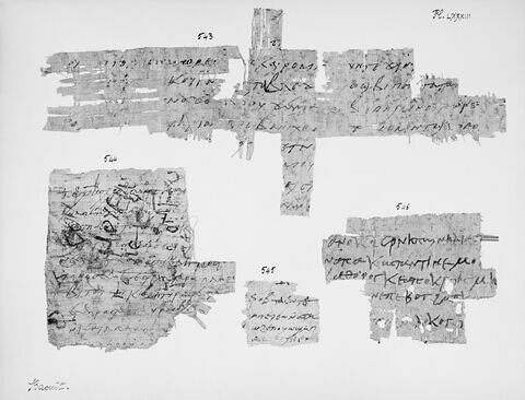 papyrus documentaire ; fragment