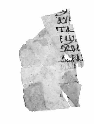 feuillet de codex ; fragments, image 8/13