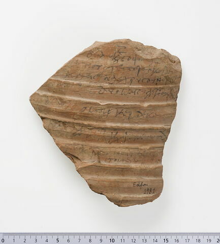 ostracon ; fragment