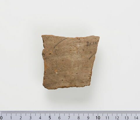 ostracon ; fragment