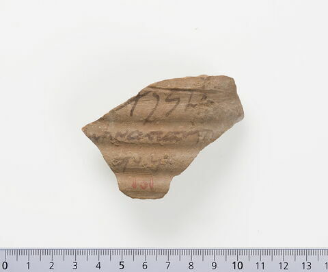 ostracon ; fragment